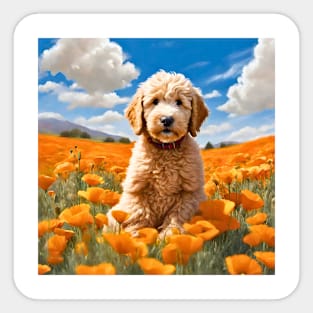 California Poppy Goldendoodle Puppy Sticker